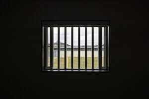 Barred window, dark all around, looking out into light green